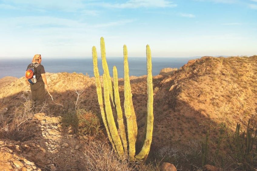 Guided Adventure & Hike into Tabor Canyon