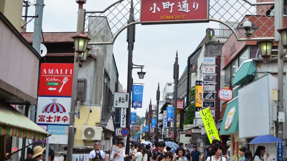 Tokyo Kamakura, Enoshima & Yokohama Tour