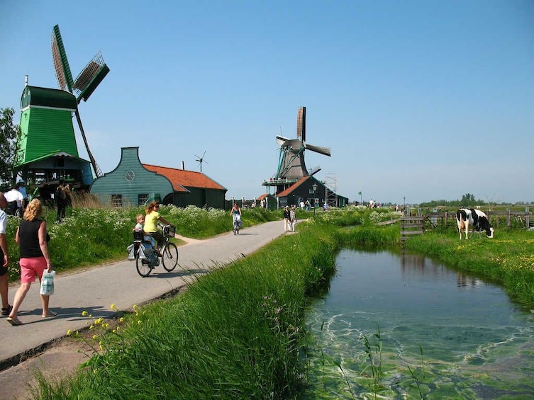 Windmills, Cheese & Traditions: Zaanse Schans Private Tour
