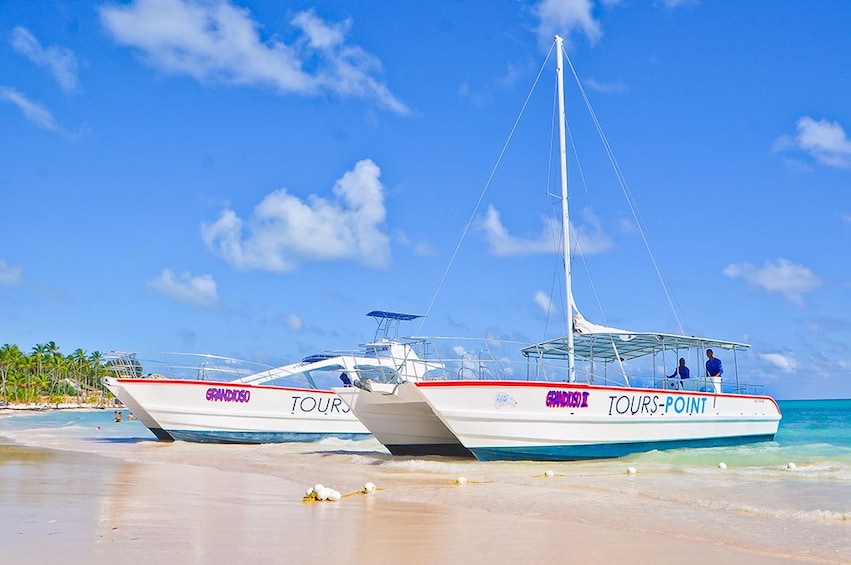 Catamaran Tours Point