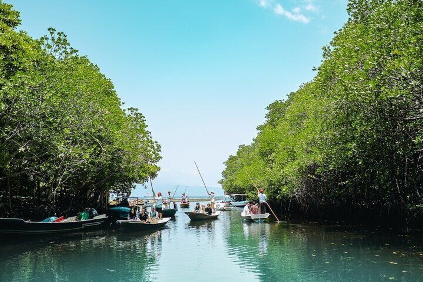 Explore Mangrove Forest Nusa Lembongan