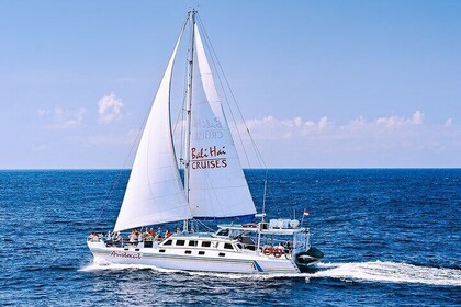 Bali Hai - Castaway Escape Cruise