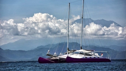 Catamarán Bali Aneecha