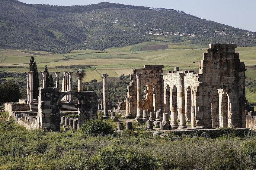 From Fez: Meknes, & Volubilis Day Trip