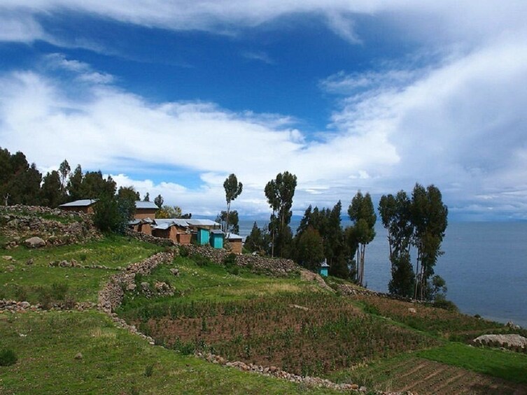 Uros and Taquile Island Full Day Tour from Puno