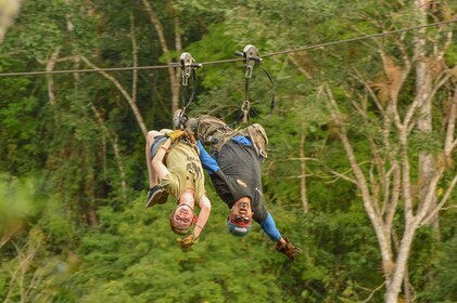 Canopy Zipline Los Veranos con Degustación de Tequila