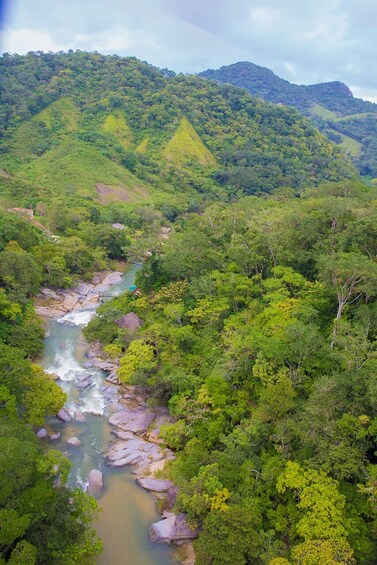 Canopy Los Veranos