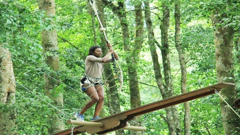 Bali Tree Top Adventure