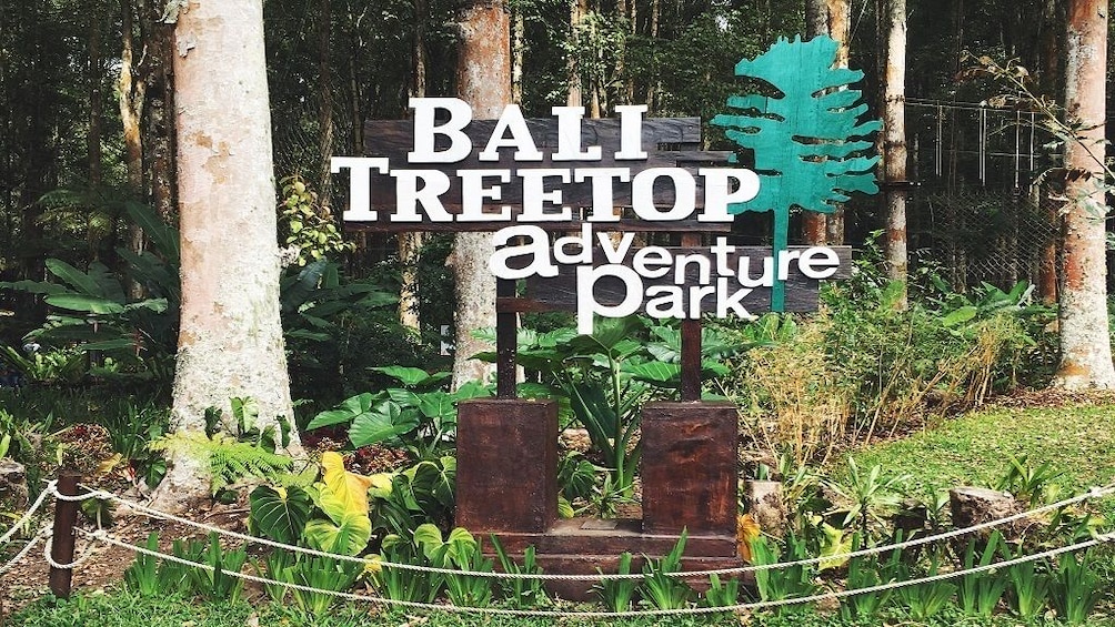 Bali Tree Top Adventure