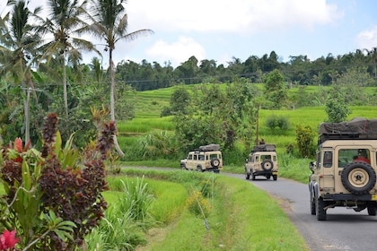 Bali Wakaland Cruise