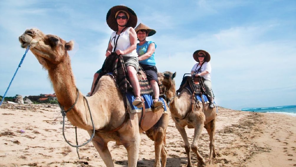 Bali Camel Safari