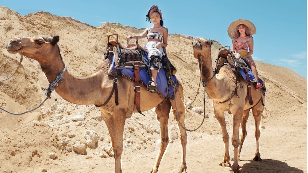 Bali Camel Safari