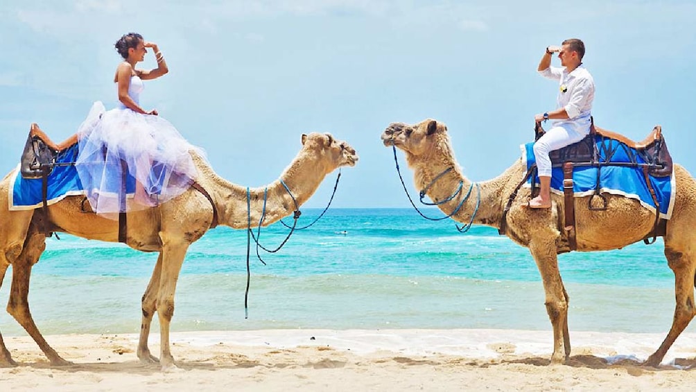 Bali Camel Safari