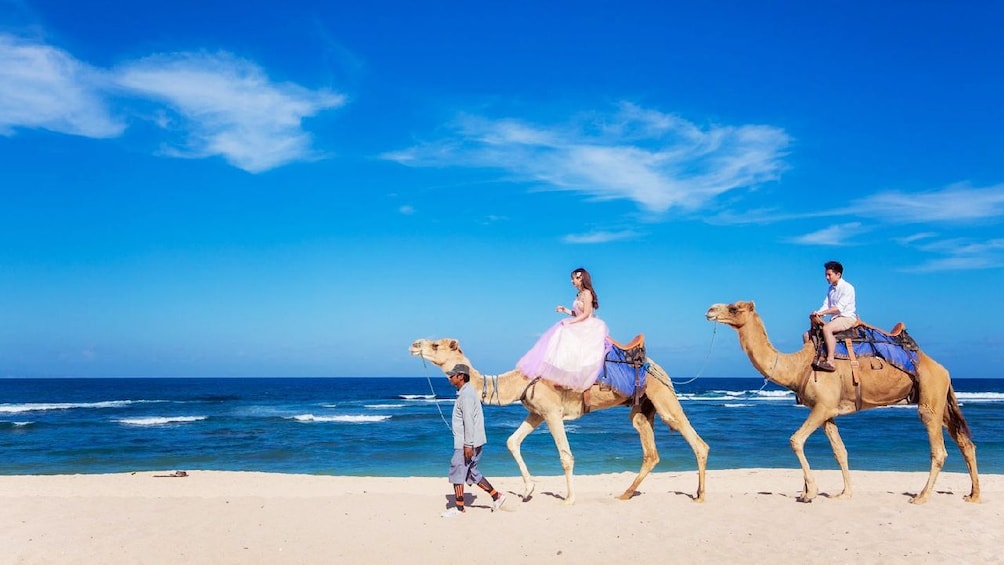 Bali Camel Safari