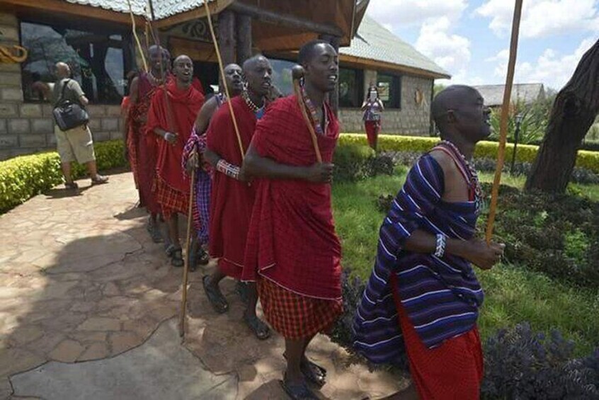 Masai tribe dance 