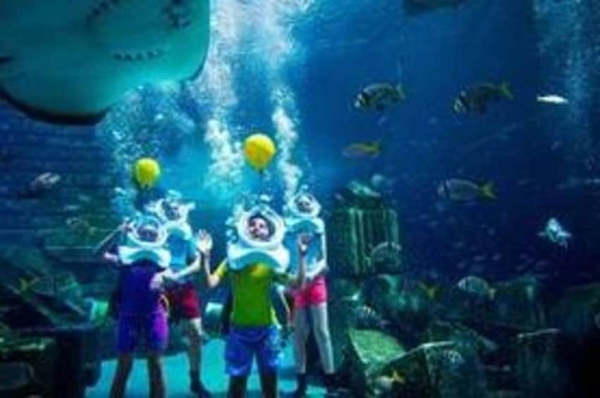 Experience Walking Underwater On The Atlantis Aquatrek