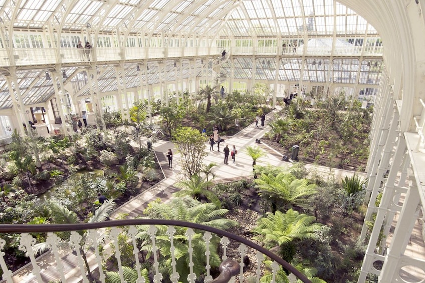 Visit Kew Gardens & 3 Hour Westminster Tour