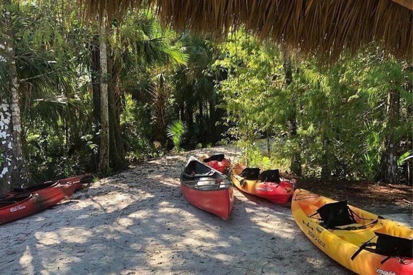 Wild & Scenic Loxahatchee River Guided Tour