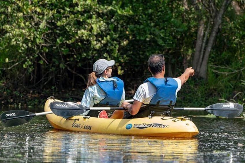Wild & Scenic Loxahatchee River Guided Tour