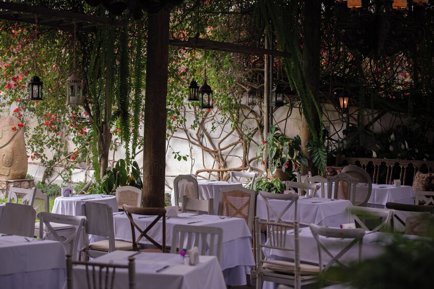 Lunch at Café del Museo Larco