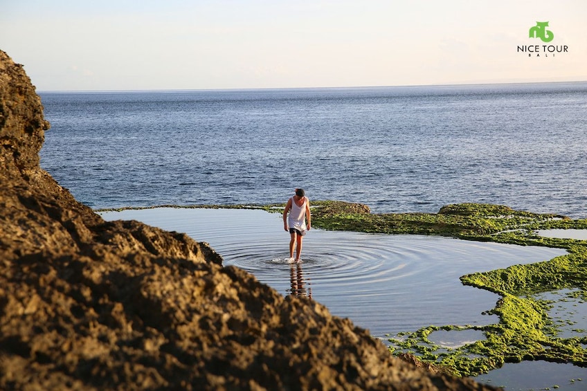 Swim with Manta Rays in Nusa Lembongan – From Bali