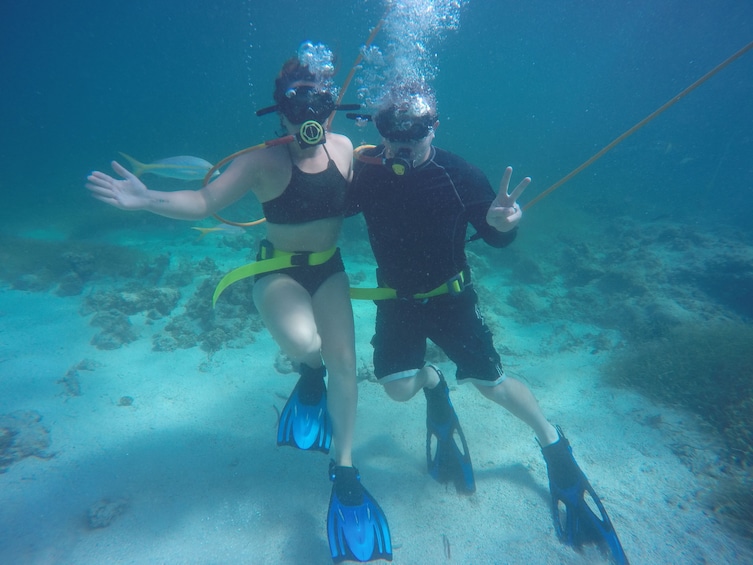 Power Dive with Drinks