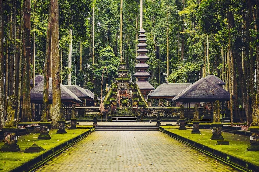 Bali Private Customized Full Day Tour with Guide