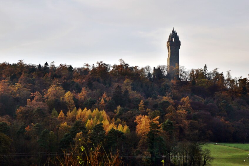 Show item 2 of 10. Stirling, Distillery and Saint Andrews - Spanish Tour Guide