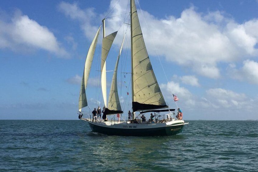Schooner Clearwater- Afternoon Sailing Cruise-Clearwater Beach