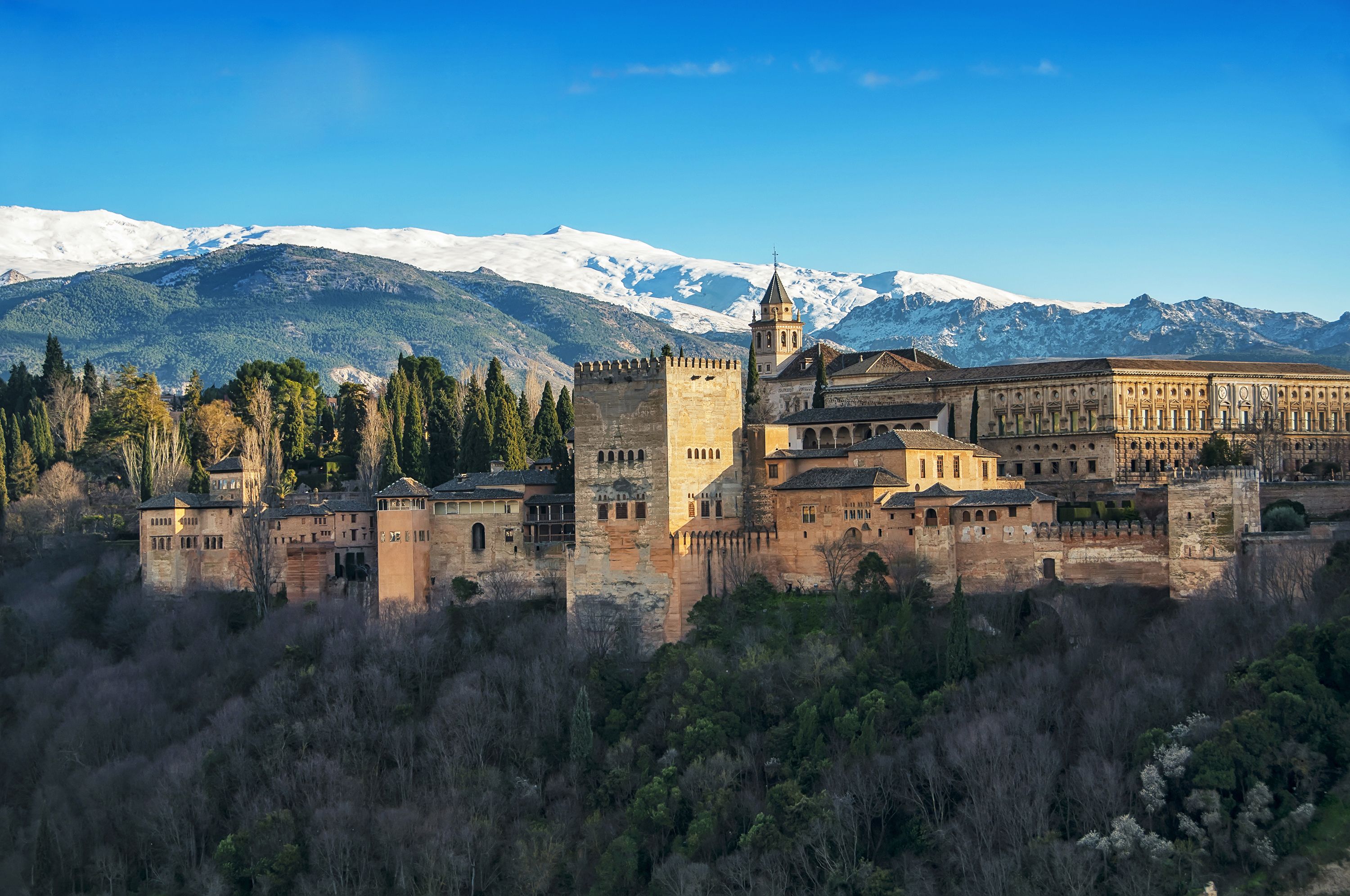 Alhambra & Generalife Premium Group: Skip The Line