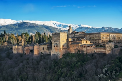 Grupo Premium Alhambra y Generalife: Sin colas