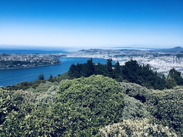 Dunedin City Highlights & Otago Peninsula Scenery Tour