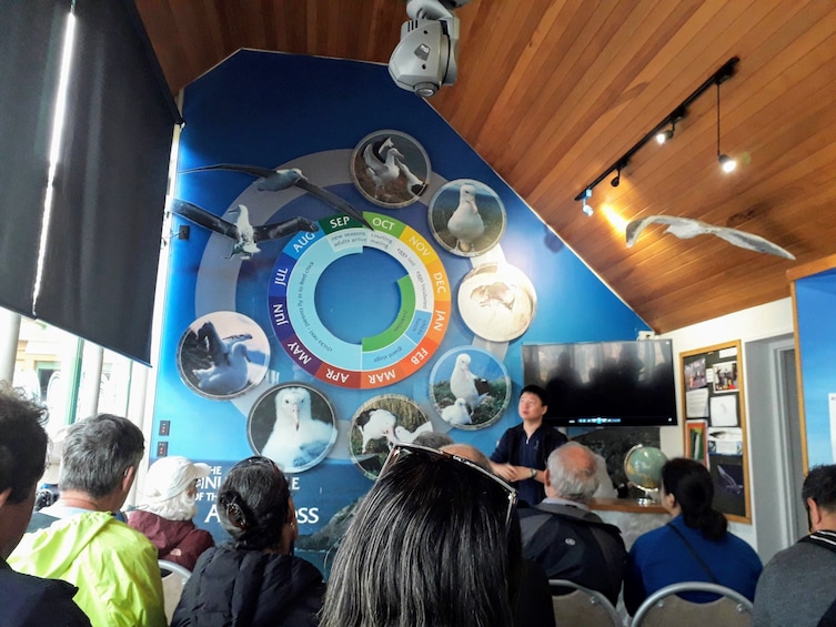 Show item 4 of 10. Dunedin City, Otago Peninsula & Albatross Guided Tour