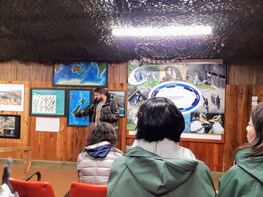 Dunedin City, Otago Peninsula & a Guided Penguin Tour