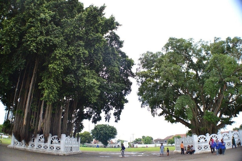 Yogyakarta Malioboro Walking Tour