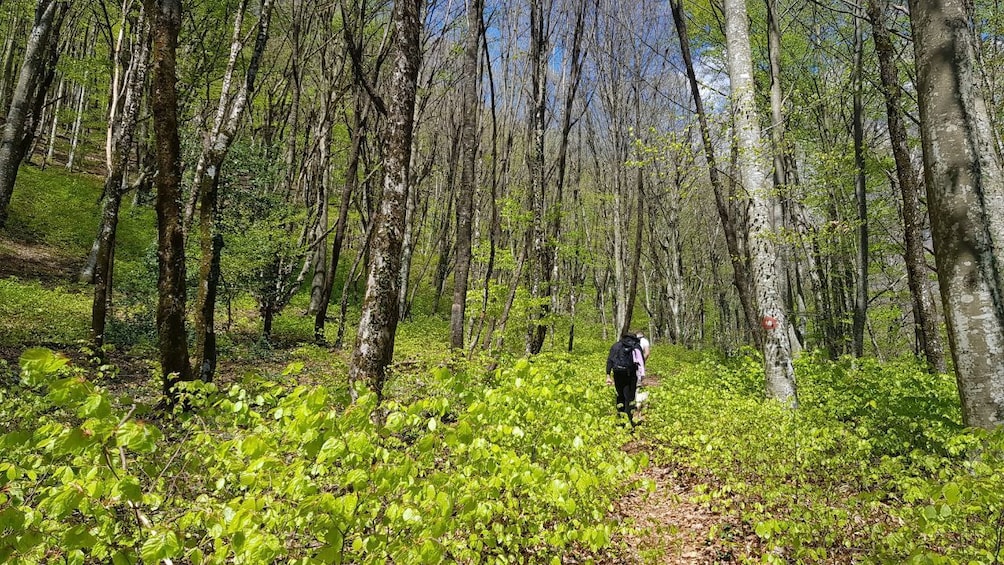 Show item 4 of 5. Hiking in Bosnia & Herzegovina-Cvrsnica -Vidikovac