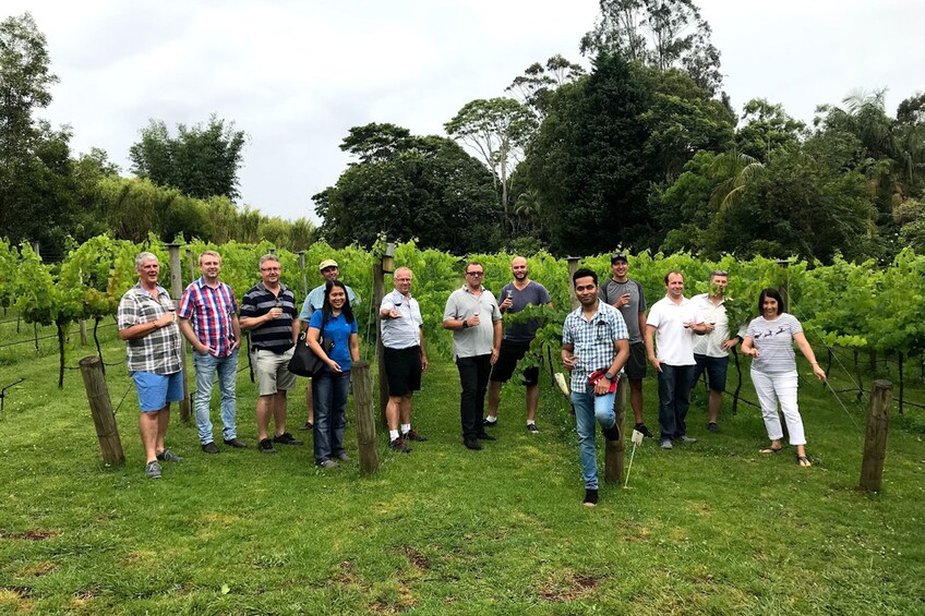 Show item 3 of 7. Full Day Mount Tamborine Winery Tour from Brisbane