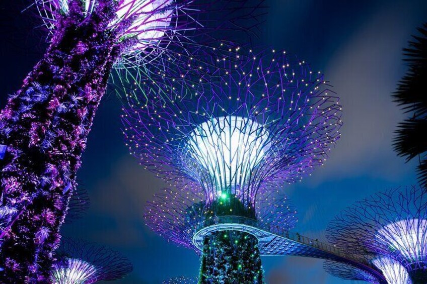 Gardens by the Bay Singapore [E-voucher]