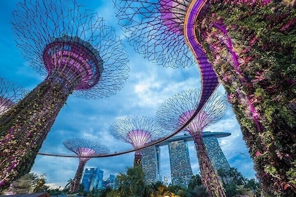 Gardens by the Bay Singapore [E-voucher]