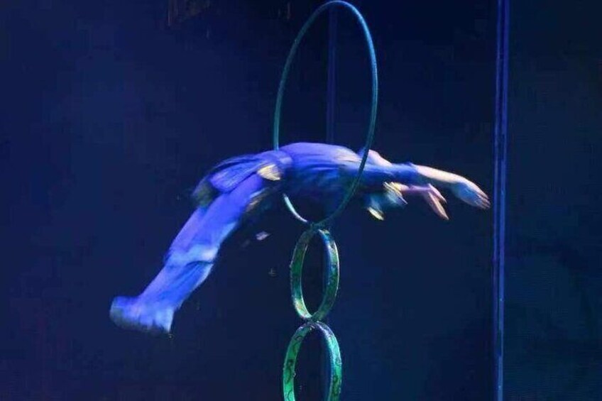 Acrobatic Show at Red Theater With Private Transfer