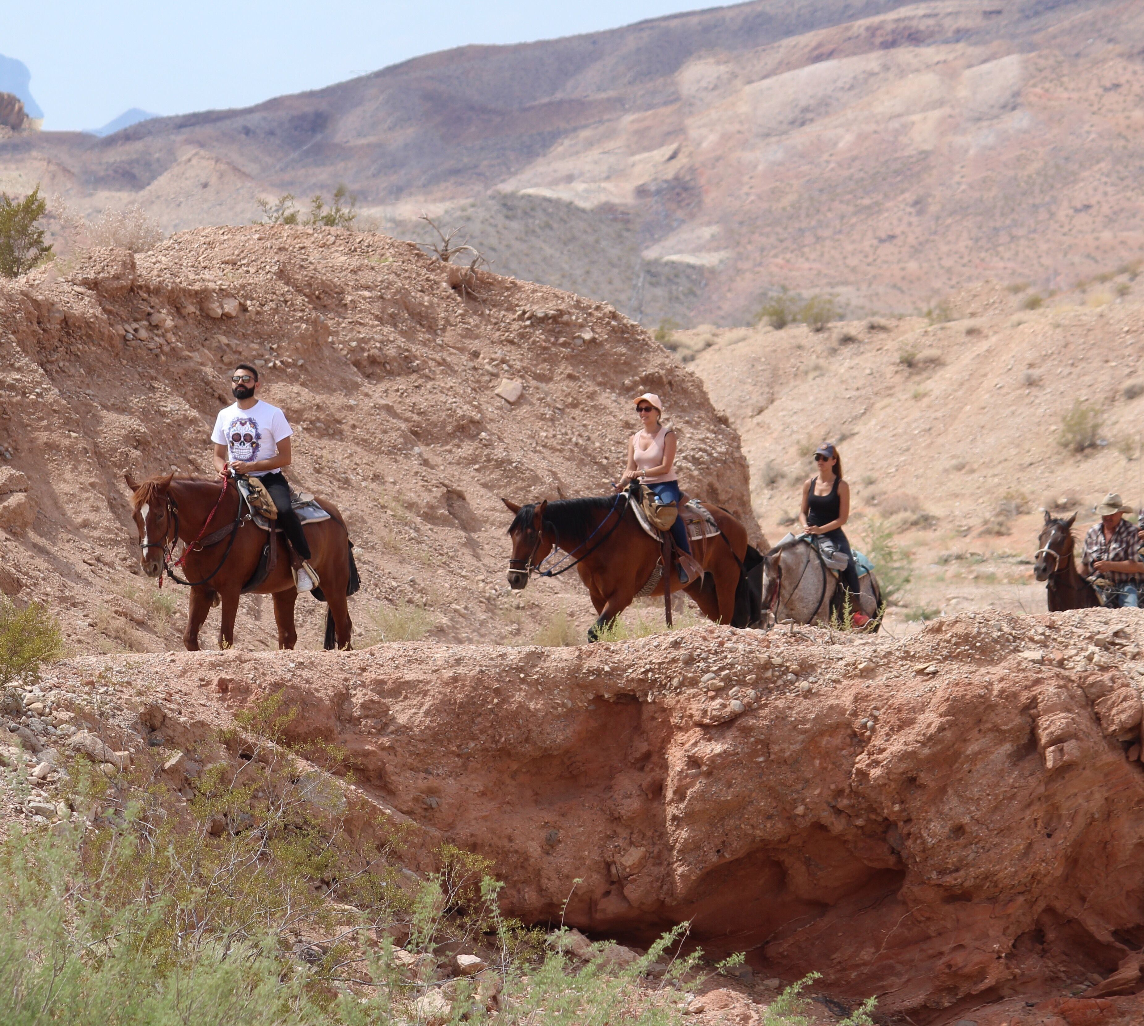 Horseback Riding Tours In Spain