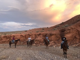 1.5 Hour Horseback Riding Tours