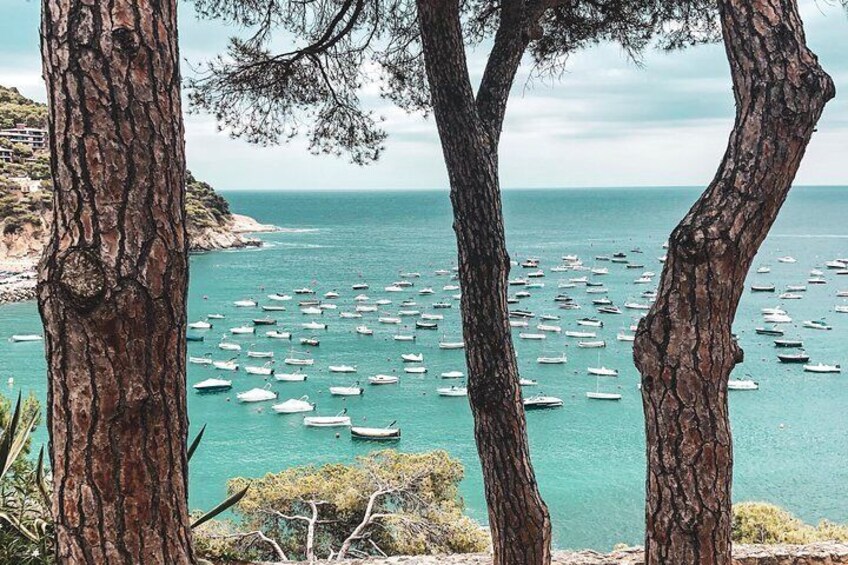 Calella de Palafrugell