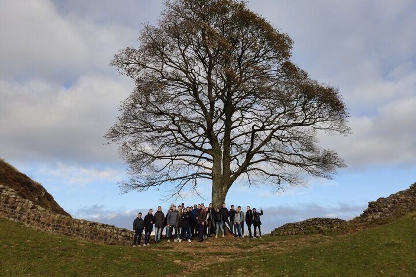 Many groups gather at Sycamore Gap for a photo 