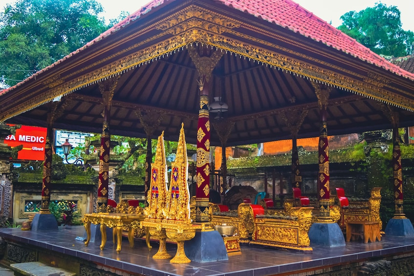 Bali Swing, Tegalalang Rice Terrace and Ubud Center