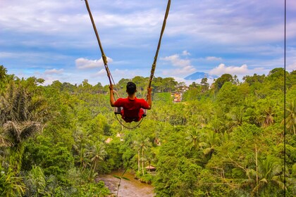 Bali Swing, Terasering Sawah Tegalalang dan Pusat Ubud