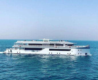 Crucero de lujo por el puerto deportivo de Dubái - Megayate