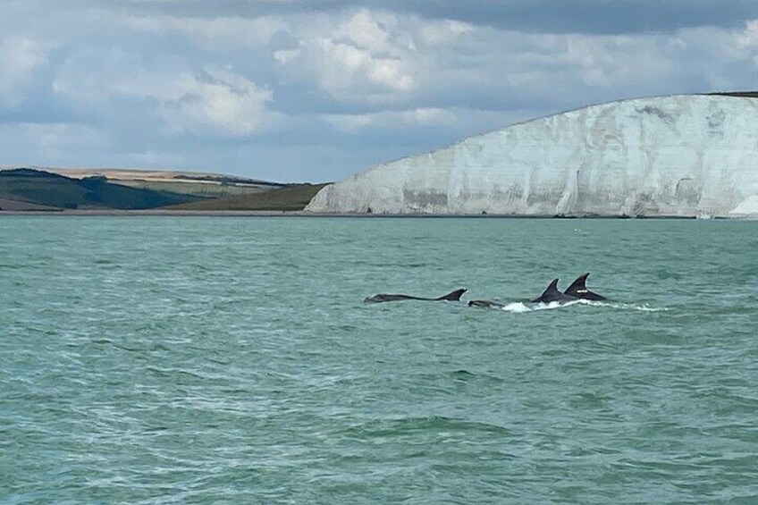 Seven Sisters Boat Trip