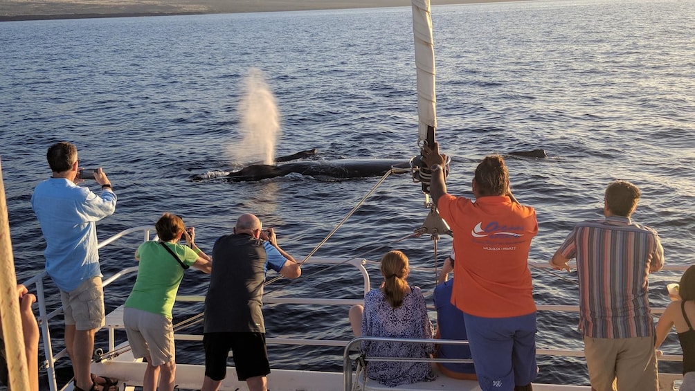 Pau Hana With the Whales Sunset Cruise