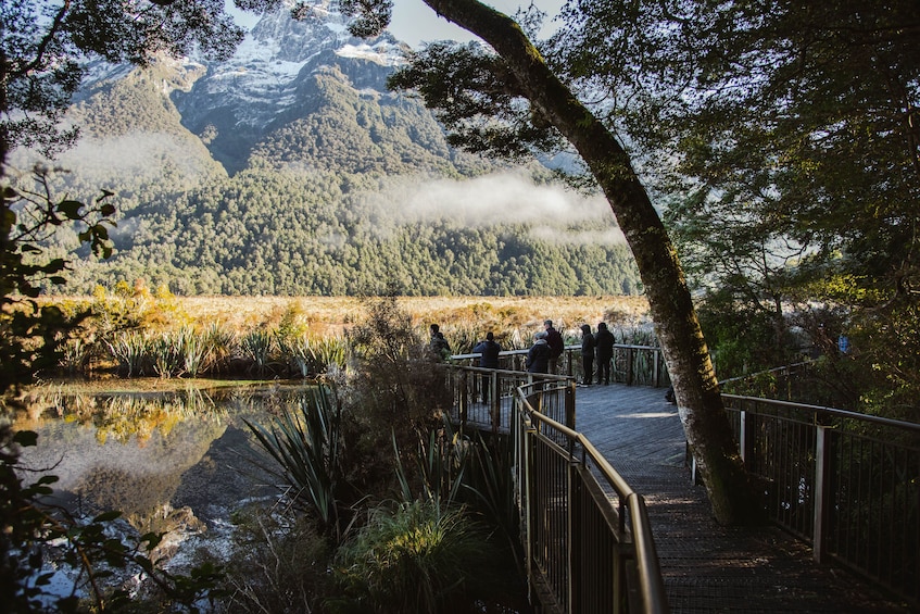 Top Rated Small Group Milford Sound Day Tour from Queenstown